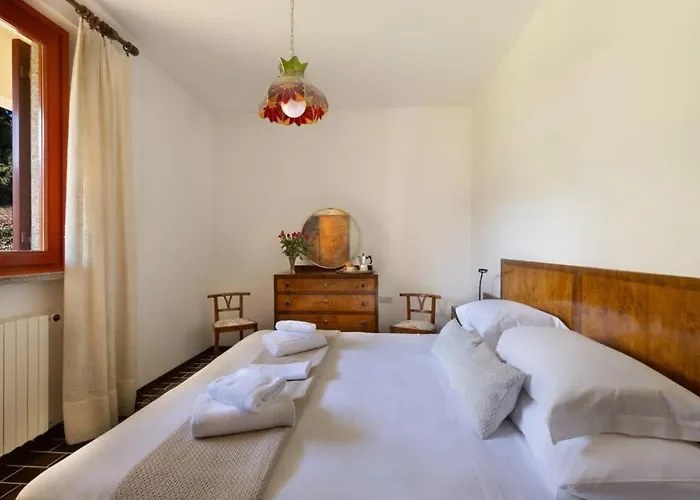 فيلة Maggiore لسا