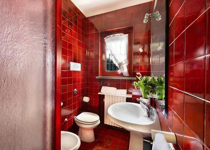 فيلة Maggiore لسا